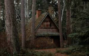 Раскраска дом в лесу #24 #295528
