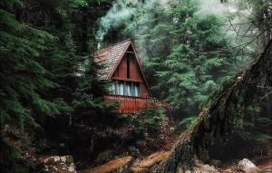 Раскраска дом в лесу #34 #295538
