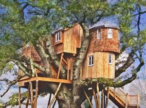 Раскраска дом на дереве #1 #295913