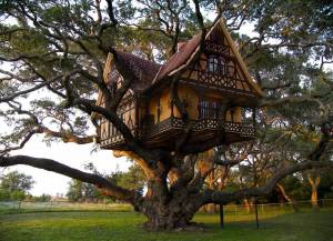 Раскраска дом на дереве #38 #295950