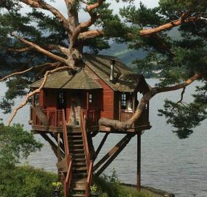 Раскраска дом на дереве #39 #295951
