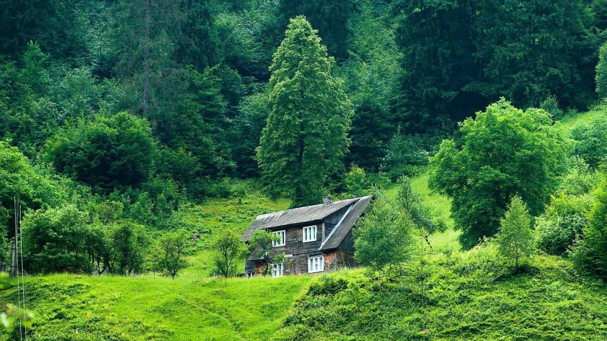 На рабочий стол картинки домиков. Домик в лесу лето. Фотообои дом в лесу. Красивый домик в лесу лето. Перспектива природа лето лес домик.