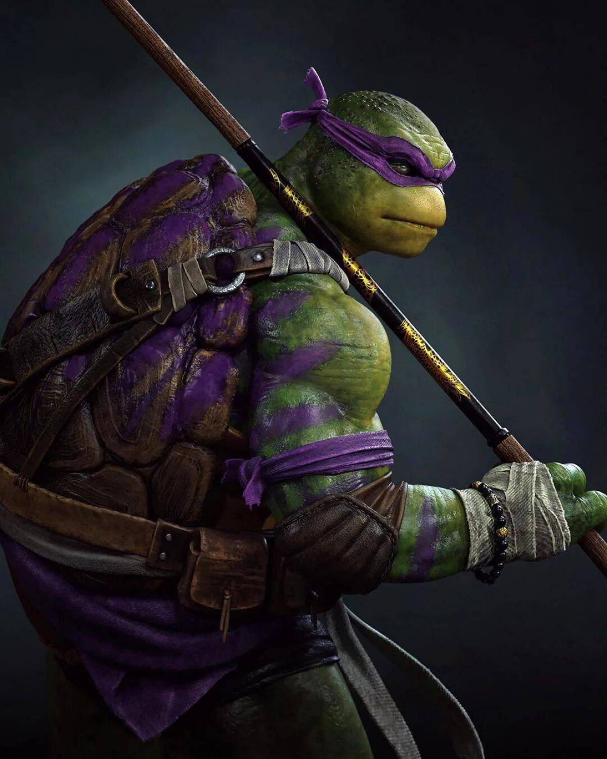 Tmnt model. Донателло Черепашки-ниндзя 2016. Черепашки ниндзя Донател. Донателло Черепашки ниндзя 1987.