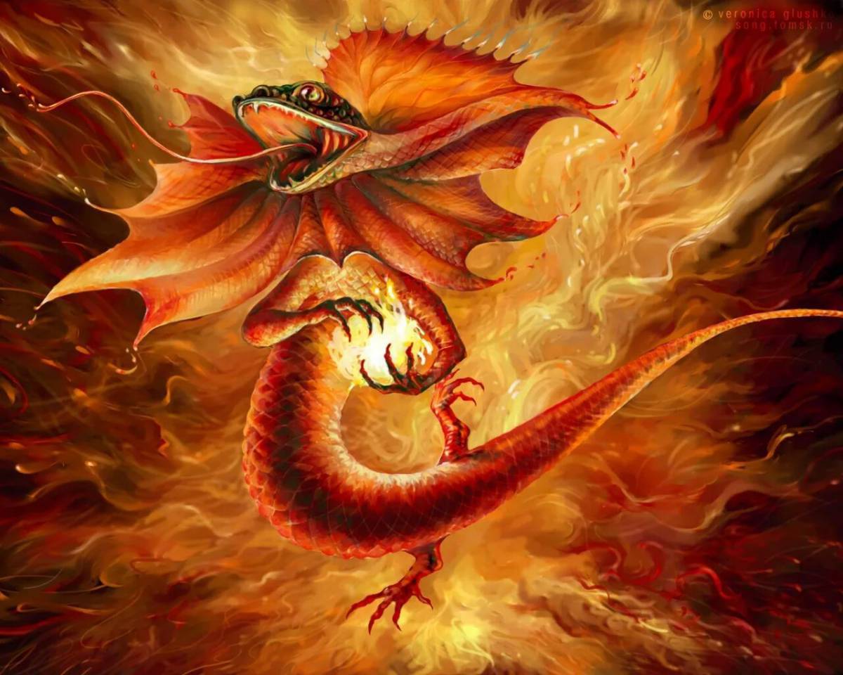Дракон огненный #25