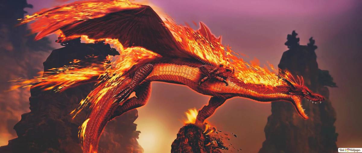 Дракон огненный #31
