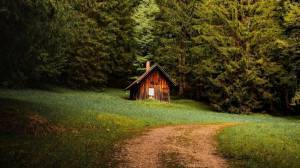Раскраска домик в лесу #1 #296906