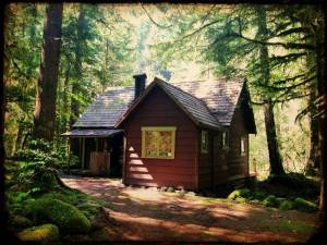 Раскраска домик в лесу #4 #296909