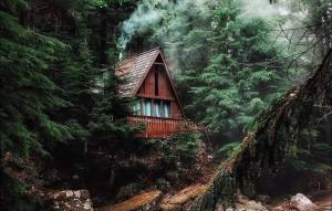 Раскраска домик в лесу #24 #296929
