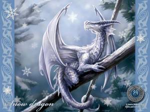 Раскраска дракон новогодний #17 #299013