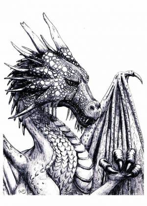 Раскраска дракон сложная #19 #299092
