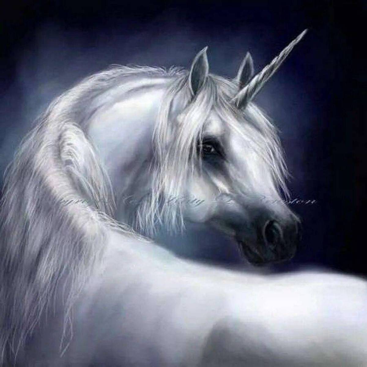 Первый единорог. Единорог. Красивые Единороги. Белый Единорог. Лошадь «Единорог».