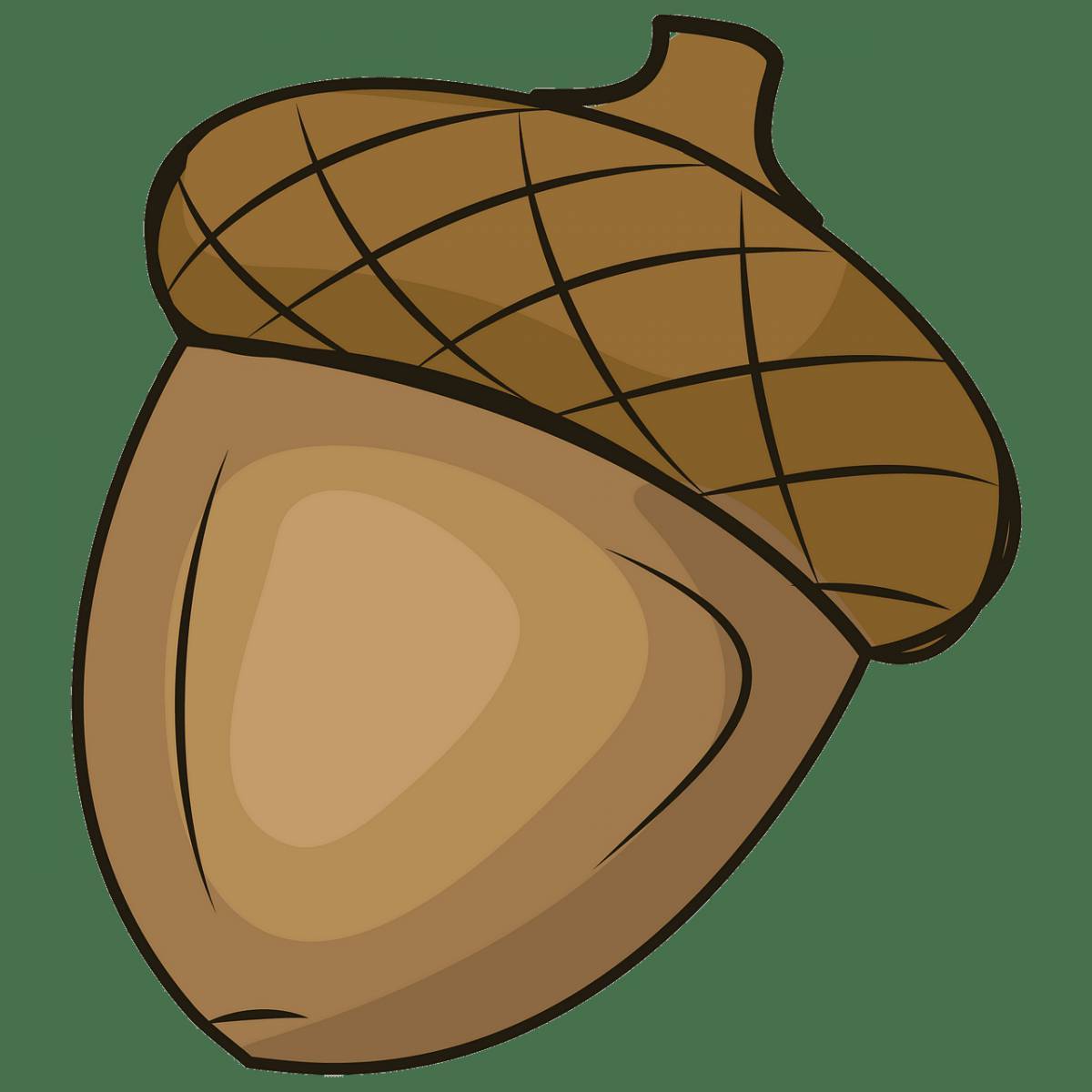 Желудь рисунок