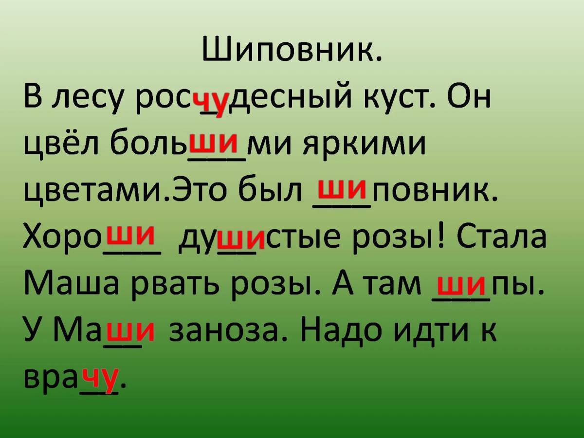 Диктант 1 класс по русскому языку жи. Слова с жи ши. Слова с же ше. В лесу рос красивый куст текст. Текст с жи ши.