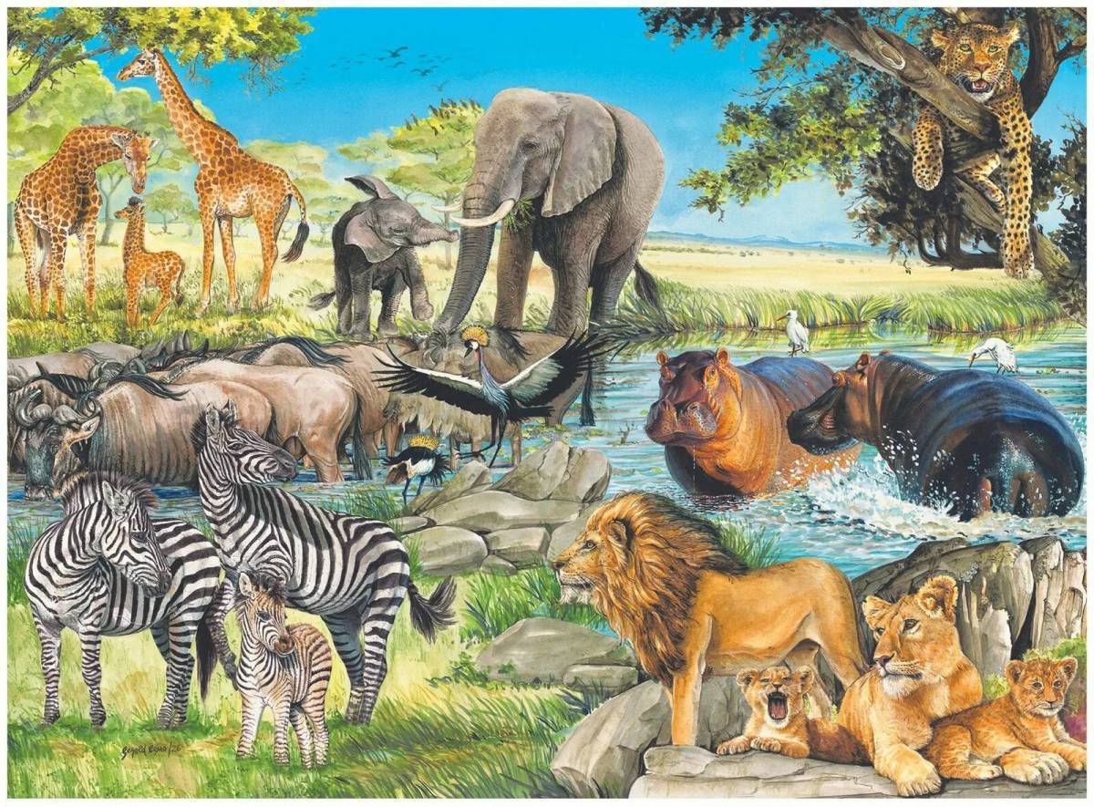 Картина животный мир. : «Животные жарких стран» куарптинкуи. Животные Африки для детей. Звери Африки для детей. Звери на водопое.