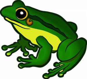 Раскраска жаба для детей #2 #305473