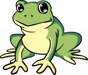 Раскраска жаба для детей #4 #305475