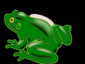 Раскраска жаба для детей #6 #305477
