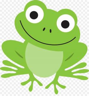 Раскраска жаба для детей #11 #305482