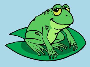 Раскраска жаба для детей #23 #305494
