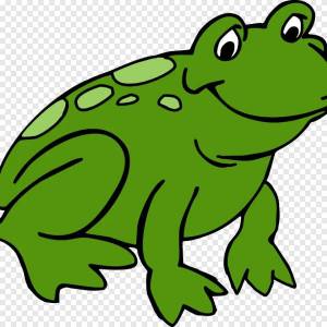 Раскраска жаба для детей #29 #305500