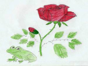 Раскраска жаба и роза #3 #305511