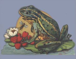 Раскраска жаба и роза #22 #305530