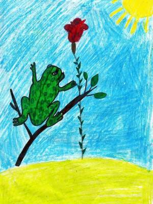 Раскраска жаба и роза #25 #305533
