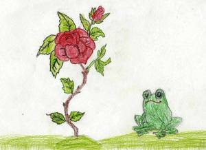 Раскраска жаба и роза #34 #305542