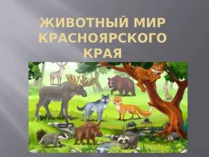 Раскраска жануарлар для детей #17 #305716