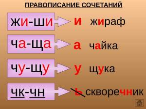 Раскраска жи ши ча ща чу щу 2 класс #36 #306805