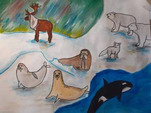 Раскраска животные арктики для детей #17 #307219