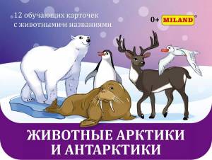 Раскраска животные арктики для детей #30 #307232
