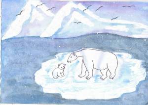 Раскраска животные арктики для детей #32 #307234