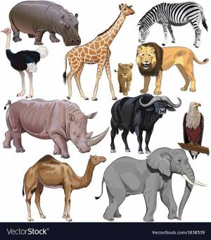 Раскраска животные африки для детей 3 4 лет #6 #307314