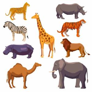 Раскраска животные африки для детей 3 4 лет #23 #307331