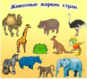 Раскраска животные африки для детей 4 5 лет #4 #307351