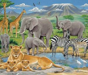 Раскраска животные африки для детей 4 5 лет #18 #307365