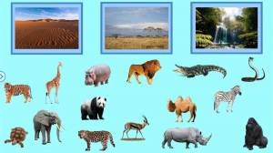 Раскраска животные африки для детей 4 5 лет #31 #307378