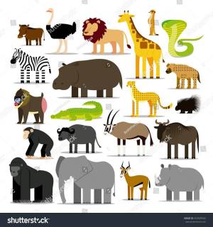 Раскраска животные африки для детей 5 7 лет #11 #307397