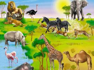 Раскраска животные африки для детей 5 7 лет #13 #307399