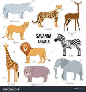 Раскраска животные африки для детей 5 7 лет #17 #307403