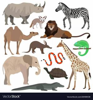 Раскраска животные африки для детей 5 7 лет #28 #307414