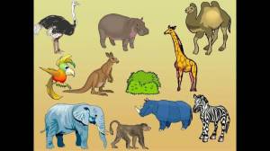 Раскраска животные жарких стран для детей 3 4 лет #12 #307631