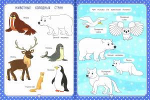 Раскраска животные крайнего севера для дошкольников #4 #307893