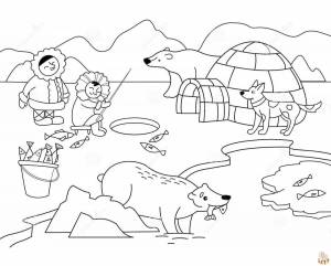Раскраска животные крайнего севера для дошкольников #23 #307912