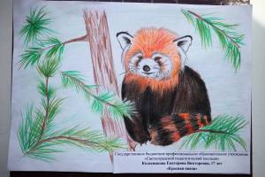 Раскраска животные красной книги россии для детей #2 #307930