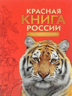Раскраска животные красной книги россии для детей #4 #307932