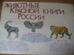 Раскраска животные красной книги россии для детей #5 #307933