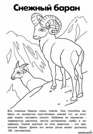 Раскраска животные красной книги россии для детей #14 #307942