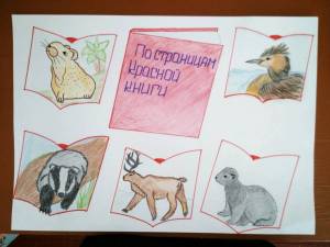 Раскраска животные красной книги россии для детей #18 #307946